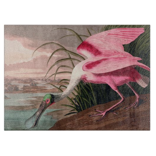 Roseate Spoonbill Audubon Bird Wildlife Schneidebrett (Vorderseite)
