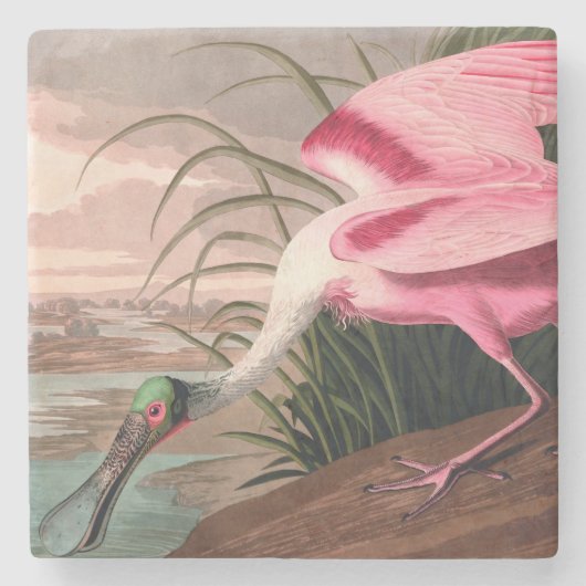Roseate Spoonbill Audubon Bird Wildlife Steinuntersetzer (Vorderseite)