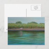 ROSEATE SPOONBILL AUF OSTKREISE Postkarte (Vorne/Hinten)