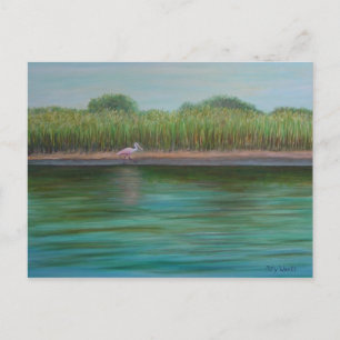 ROSEATE SPOONBILL AUF OSTKREISE Postkarte