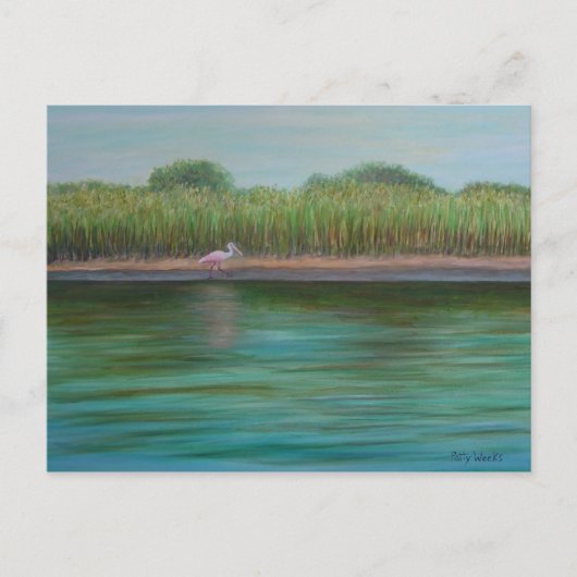 ROSEATE SPOONBILL AUF OSTKREISE Postkarte (Vorderseite)