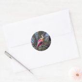 Roseate Spoonbill Aufkleber (Umschlag)