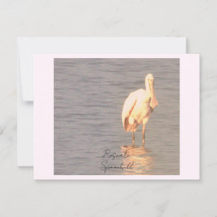 Roseate Spoonbill Bird Foto Postcard Postkarte