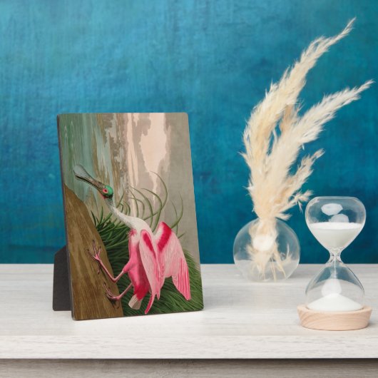 Roseate Spoonbill Birds of America Audubon Print Fotoplatte (Seite)