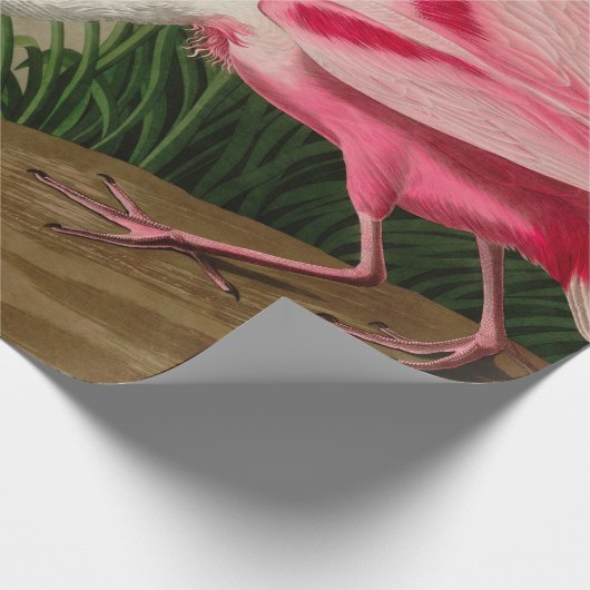 Roseate Spoonbill Birds of America Audubon Print Geschenkpapier (Ecke)