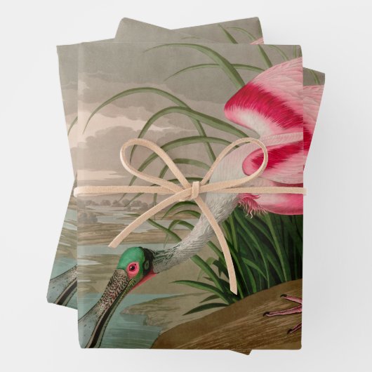 Roseate Spoonbill Birds of America Audubon Print Geschenkpapier Set (Beispiel)