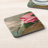 Roseate Spoonbill Birds of America Audubon Print Getränkeuntersetzer (Linke Seite)