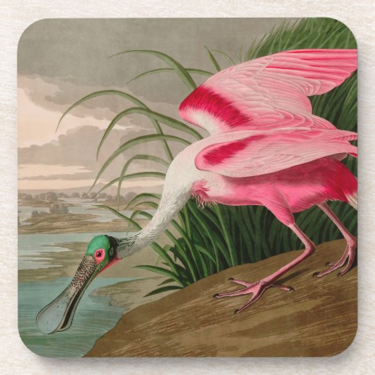 Roseate Spoonbill Birds of America Audubon Print Getränkeuntersetzer (Vorderseite)