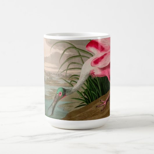 Roseate Spoonbill Birds of America Audubon Print Kaffeetasse (Mittel)