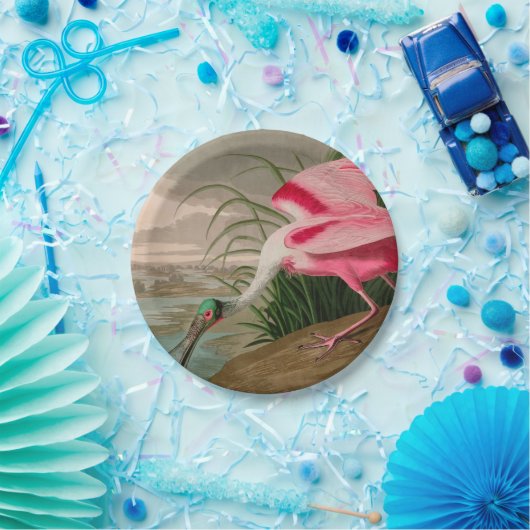 Roseate Spoonbill Birds of America Audubon Print Pappteller (Party)