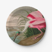 Roseate Spoonbill Birds of America Audubon Print Pappteller (Vorderseite)