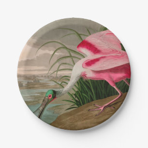 Roseate Spoonbill Birds of America Audubon Print Pappteller