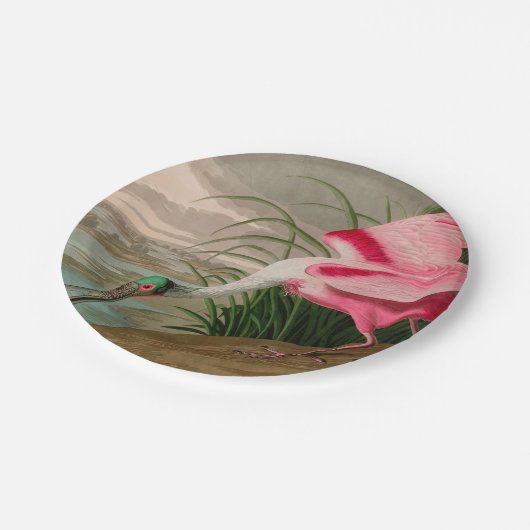 Roseate Spoonbill Birds of America Audubon Print Pappteller (Schrägansicht)