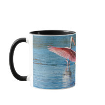 Roseate Spoonbill Black 11 oz Combo Tasse
