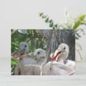 Roseate Spoonbill Chicks Flat Card (Stehend Vorderseite)