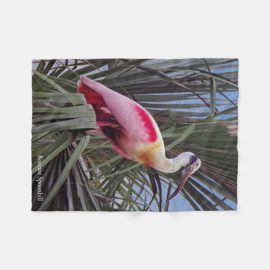 Roseate Spoonbill Fleecedecke (Vorderseite (Horizontal))