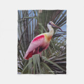 Roseate Spoonbill Fleecedecke (Vorderseite)