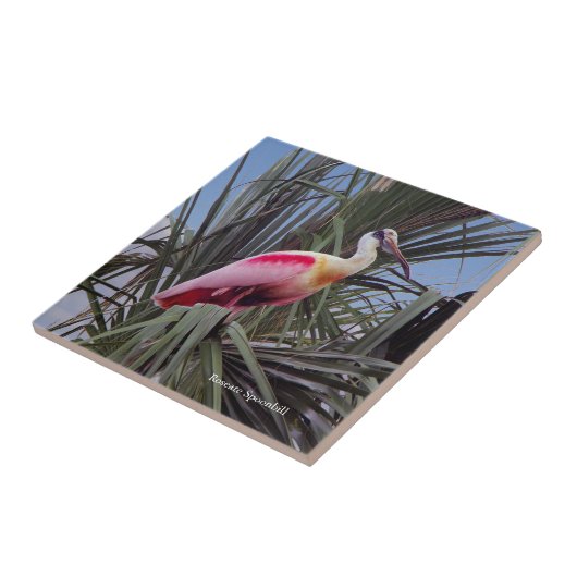 Roseate Spoonbill Fliese (Seite)