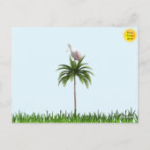 Roseate Spoonbill - Florida Bird Postcard Postkarte (Rückseite)