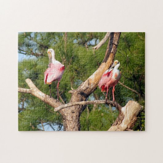 Roseate Spoonbill Jigsaw Puzzle (Horizontal)