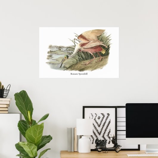 Roseate Spoonbill, John Audubon Poster (Heimbüro)