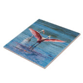 Roseate Spoonbill Large 6" X 6" Foto Tile Fliese (Seite)