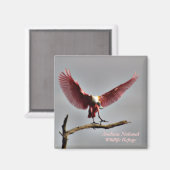 Roseate Spoonbill Magnet (Vorderseite/Rückseite)