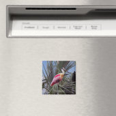 Roseate Spoonbill-Magnet Magnet (In Situ (Geschirrspüler))