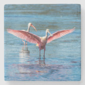 Roseate Spoonbill Marble Stone Untersetzer (Vorderseite)