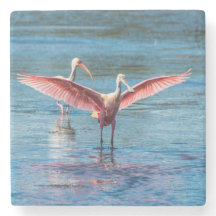 Roseate Spoonbill Marble Stone Untersetzer