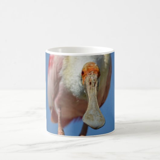 Roseate Spoonbill mit großem Schnabel Kaffeetasse (Mittel)