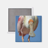 Roseate Spoonbill mit großem Schnabel Magnet (Vorderseite/Rückseite)