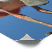 Roseate Spoonbill mit großem Schnabel Poster (Ecke)
