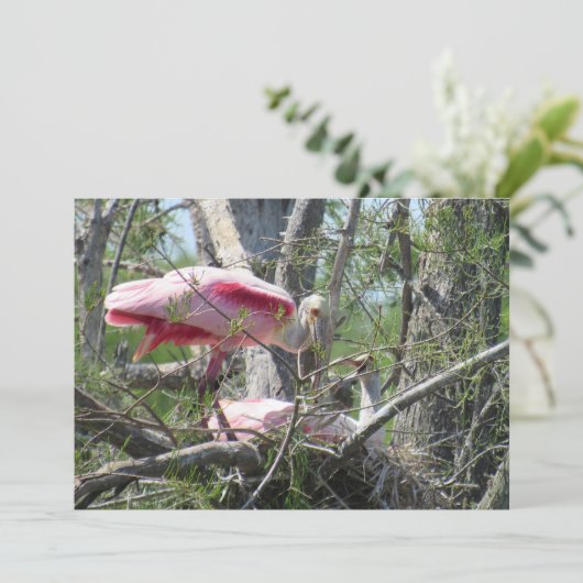 Roseate Spoonbill Nesting Flat Card (Stehend Vorderseite)