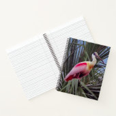 Roseate Spoonbill Notebook Notizblock (Innenseite)