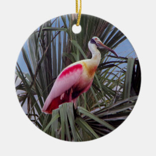 Roseate Spoonbill-Ornament Keramik Ornament