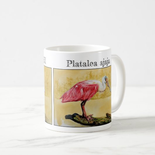 Roseate Spoonbill (Platalea ajaja) Kaffeetasse (VorderseiteRechts)
