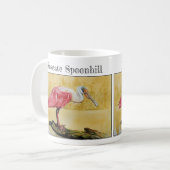 Roseate Spoonbill (Platalea ajaja) Kaffeetasse (Vorderseite Links)
