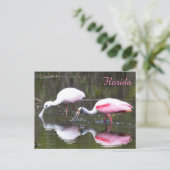 Roseate Spoonbill Postcard Postkarte (Stehend Vorderseite)