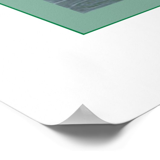 Roseate Spoonbill Poster (Ecke)