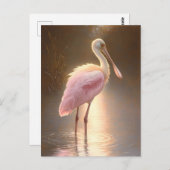 Roseate Spoonbill Postkarte (Vorne/Hinten)