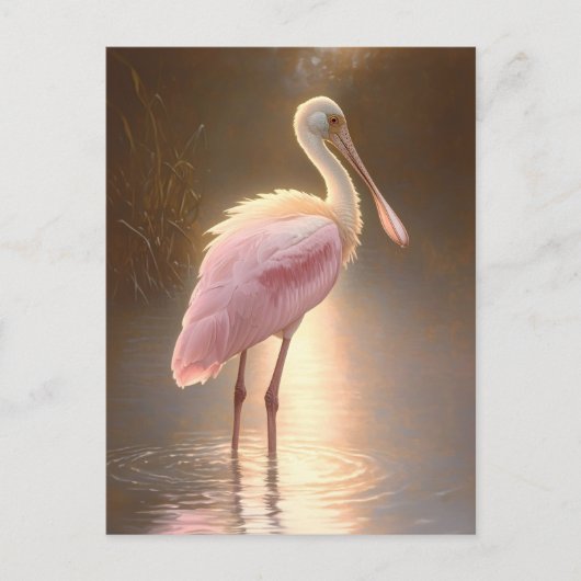 Roseate Spoonbill Postkarte (Vorderseite)