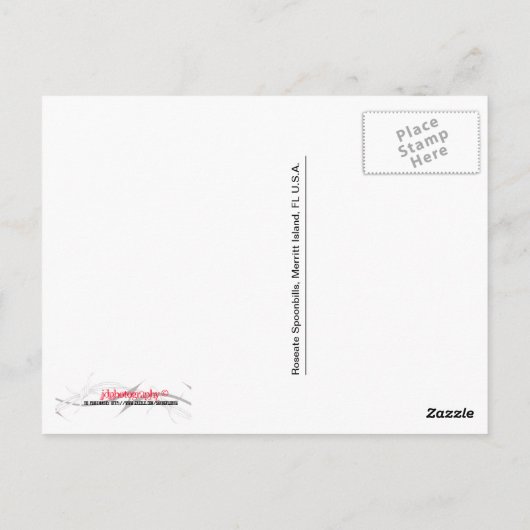 Roseate Spoonbill Postkarte (Rückseite)