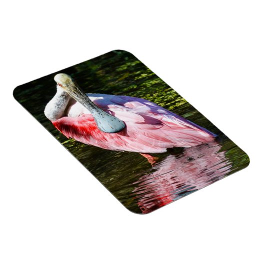 Roseate Spoonbill Puzzle Magnet (Rechte Seite)