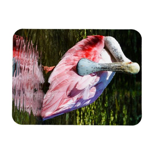 Roseate Spoonbill Puzzle Magnet (Horizontal)