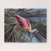 Roseate-Spoonbill-Puzzle Puzzle (Horizontal)