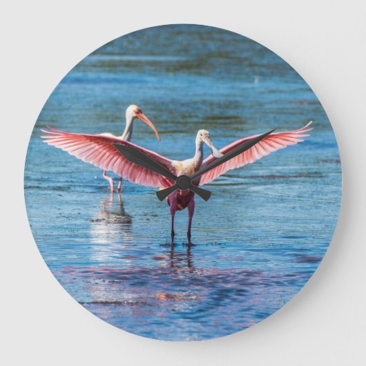 Roseate Spoonbill Round (Large) Wall Clock Große Wanduhr (Vorderseite)