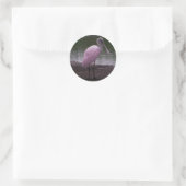 Roseate Spoonbill Runder Aufkleber (Tasche)