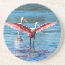 Roseate Spoonbill Sandstone Drink Untersetzer