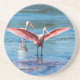 Roseate Spoonbill Sandstone Drink Untersetzer